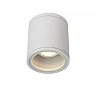AVEN Bathroom ceiling spotlight 1x50W GU10 IP65 White (Lucide)