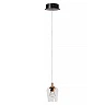 BERLIANE Pendant light LED dim 1x4W 2700K Transparent (Lucide)