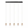 BERLIANE Pendant light LED dim 5x4W 2700K Transparent (Lucide)