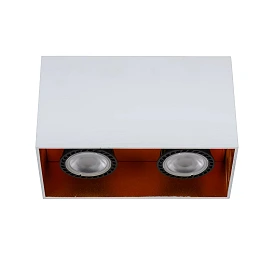 BIDO griestu prožektors 16,6x8,3 cm 2xGU10 balta (Lucide)