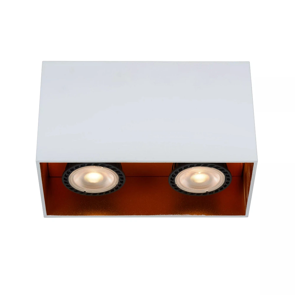 BIDO griestu prožektors 16,6x8,3 cm 2xGU10 balta (Lucide)