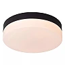 BISKIT bathroom ceiling light with microwave motion sensor, integrated LED, 12 W, 700 lm, 2700 K, black (Lucide)