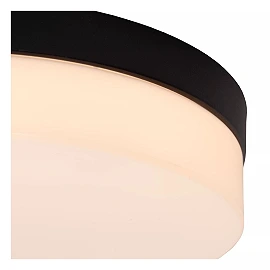 BISKIT vannas istabas griestu lampa ar mikroviļņu kustības sensoru, integrēts LED, 18 W, 1150 lm, 2700 K, melna (Lucide)