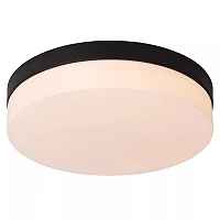 BISKIT vannas istabas griestu lampa ar mikroviļņu kustības sensoru, integrēts LED, 18 W, 1150 lm, 2700 K, melna (Lucide)
