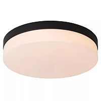 BISKIT vannas istabas griestu lampa ar mikroviļņu kustības sensoru, integrēts LED, 24 W, 1550 lm, 2700 K, melna (Lucide)