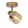 BJORN Ceiling spotlight 1xE14 matt gold / brass (Lucide)