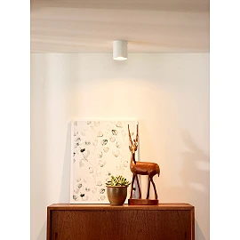 BODI Ceiling spotlight Ø8 cm 1xGU10 white (Lucide)