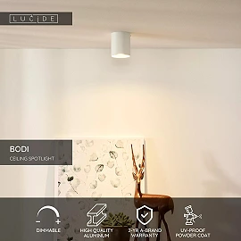 BODI Ceiling spotlight Ø8 cm 1xGU10 white (Lucide)
