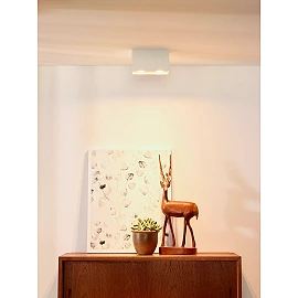 BODI Ceiling spotlight 16.5 cm 2xGU10 white (Lucide)