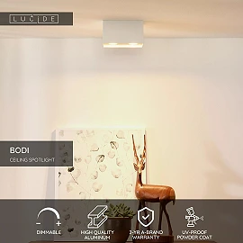 BODI Ceiling spotlight 16.5 cm 2xGU10 white (Lucide)