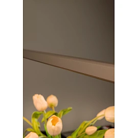 BRAGA piekaramā lampa 150 cm LED 36W CCT kafijas krāsā (Lucide)