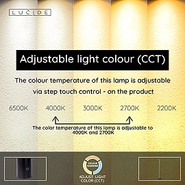 BRAGA stāvlampa Ø30 cm LED 22W CCT kafijas krāsā (Lucide)