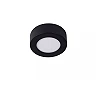 BRICE-LED bathroom ceiling light Ø 11.7 cm LED dimmable 8W 3000K IP44 black (Lucide)