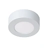 BRICE-LED bathroom ceiling light Ø 11.7 cm LED dimmable 8W 3000K IP44 white (Lucide)
