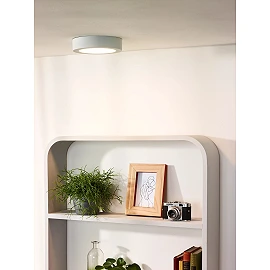 BRICE-LED bathroom ceiling light Ø 18 cm LED dimmable 12W 3000K IP44 white (Lucide)