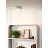 BRICE-LED bathroom ceiling light Ø 18 cm LED dimmable 12W 3000K IP44 white (Lucide)