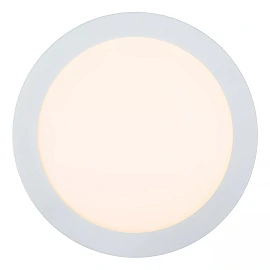BRICE-LED bathroom ceiling light Ø 24 cm LED dimmable 15W 3000K IP44 white (Lucide)