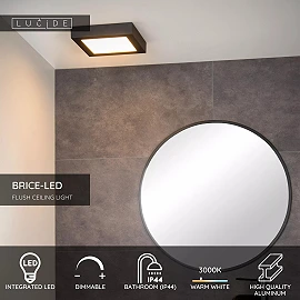 BRICE-LED bathroom ceiling light 22x22 cm LED dimmable 22W 3000K IP44 black (Lucide)