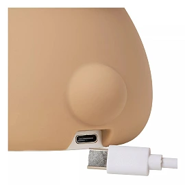 PINCHA BEAR rechargeable LED children night light brown (Lucide)
