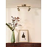 CARO-LED ceiling spotlight GU10 2 x 5 W 2700K satin chrome (Lucide)