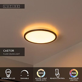 CASTOR flush ceiling light LED 20 W 2700-6500 K + RGB opal (Lucide)