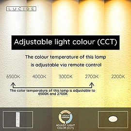 CASTOR flush ceiling light LED 20 W 2700-6500 K + RGB opal (Lucide)