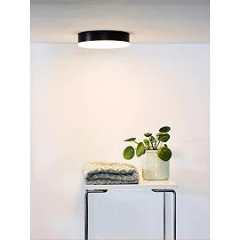CERES-LED bathroom ceiling light Ø21.5 cm LED 30W IP44 Black (Lucide)