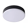 CERES-LED bathroom ceiling light Ø21.5 cm LED 30W IP44 Black (Lucide)