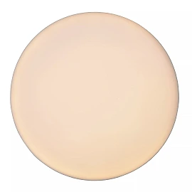 CERES-LED bathroom ceiling light Ø21.5 cm LED 30W IP44 White (Lucide)