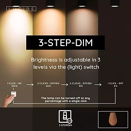 COLIN outdoor table lamp 3W Natural (Lucide)