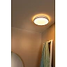 DASHER bathroom ceiling light Ø34.8 cm LED 18 W white (Lucide)
