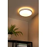 DASHER bathroom ceiling light Ø41 cm LED 24 W white (Lucide)