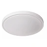 DASHER bathroom ceiling light Ø41 cm LED 24 W white (Lucide)