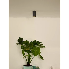 DELTO griestu prožektors Ø5,5 1 x 5 W GU10 dim-to-warm pelēks (Lucide)