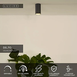 DELTO griestu prožektors Ø5,5 1 x 5 W GU10 dim-to-warm pelēks (Lucide)
