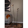 DUARTE floor lamp 2 x 4 W G9 coffee (Lucide)