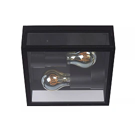 DUKAN Flush ceiling light Indoor/Outdoor 2x15W E27 IP65 Black (Lucide)
