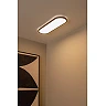 ELLY flush ceiling light LED 24 W 2700-4000 K opal (Lucide)
