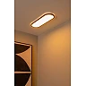 ELLY flush ceiling light LED 24 W 2700-4000 K opal (Lucide)