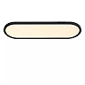 ELLY flush ceiling light LED 24 W 2700-4000 K opal (Lucide)