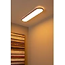 ELLY flush ceiling light LED 36 W 2700-4000 K opal (Lucide)