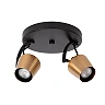 EMILE ceiling spotlight Ø20 cm 2xGU10 matt gold / brass (Lucide)