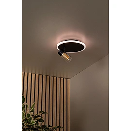 EVERINA Griestu lampa Ø23 cm 1x5W LED CCT 2200K/6500K melna (Lucide)
