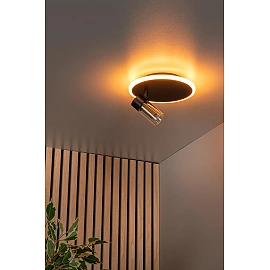 EVERINA Griestu lampa Ø23 cm 1x5W LED CCT 2200K/6500K melna (Lucide)