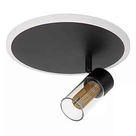 EVERINA Griestu lampa Ø23 cm 1x5W LED CCT 2200K/6500K melna (Lucide)