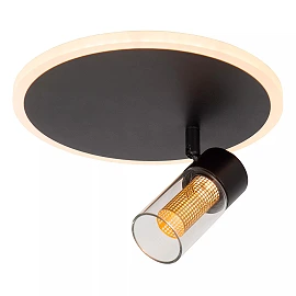 EVERINA Griestu lampa Ø23 cm 1x5W LED CCT 2200K/6500K melna (Lucide)