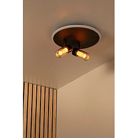 EVERINA Griestu lampa Ø30 cm 2x5W + 1x10W LED CCT 2200K/6500K melna (Lucide)