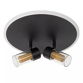 EVERINA Griestu lampa Ø30 cm 2x5W + 1x10W LED CCT 2200K/6500K melna (Lucide)