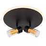 EVERINA Flush ceiling light Ø30 cm 2x5W + 1x10W LED CCT 2200K/6500K Black (Lucide)