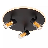 EVERINA Griestu lampa Ø40 cm 3x5W LED CCT 2200K/6500K melna (Lucide)